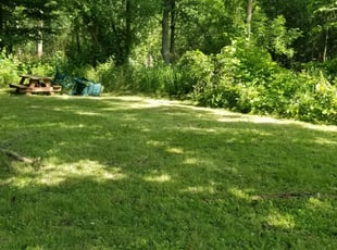 #1 Elgin, IL Lawn Care Service | Lawn Mowing from $19 ...