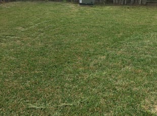 #1 Enfield, CT Lawn Care Service | Lawn Mowing from $19 ...