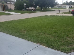 1 Farmington Mn Lawn Care Service Lawn Mowing From 19 Best 2020