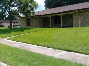 Brothers Pest Control 17 Photos 4 Reviews Pest Control Service 3228 Land O Lakes Blvd Land O Lakes Fl 34639
