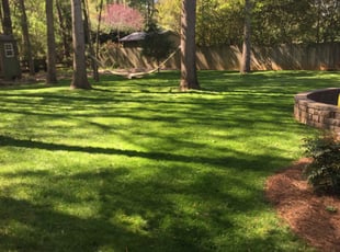 Franklin Tn Lawn Care Service Lawn Mowing From 19 Rated Best 2020