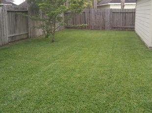 Franklinton, NC Lawn Care Service | Lawn Mowing from $19 ...