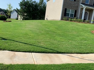 The 10 Best Lawn Care Services In Memphis Tn From 39
