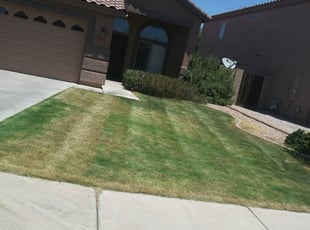 Gilbert Az Lawn Care Service Lawn Mowing From 19 Rated Best 2020