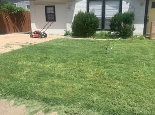 Glendale Az Lawn Care Service Lawn Mowing From 19 Rated Best 2020