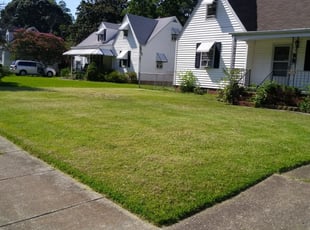 Hamilton Oh Lawn Care Service Lawn Mowing From 19 Rated Best 2020