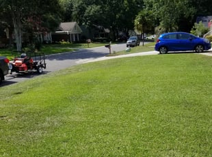 1 Harrisburg Pa Lawn Care Service Lawn Mowing From 19 Best 2020