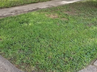 1 Haymarket Va Lawn Care Service Lawn Mowing From 19 Best 2020