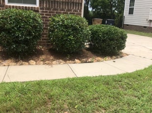 Indian Trail, NC Lawn Care Service | Lawn Mowing from $19 ...