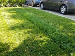 1 Jackson Ms Lawn Care Service Lawn Mowing From 19 Best 2020