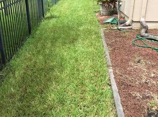 Jacksonville Fl Landscaping From 29 1 Landscapers Best Of 2020