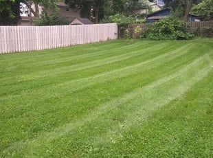 1 Kingwood Tx Lawn Care Service Lawn Mowing From 19 Best 2020
