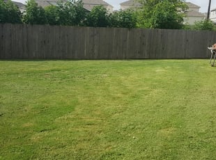 1 Lebanon Tn Lawn Care Service Lawn Mowing From 19 Best 2020