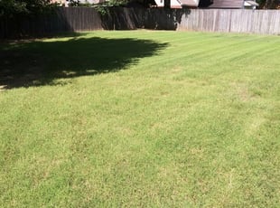 Lincoln Ri Lawn Care Service Lawn Mowing From 19 Rated Best 2020