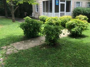 Lincoln Ri Lawn Care Service Lawn Mowing From 19 Rated Best 2020