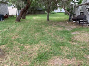 1 Lorton Va Lawn Care Service Lawn Mowing From 19 Best 2020