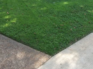 1 Manchester Ct Lawn Care Service Lawn Mowing From 19 Best 2020