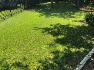 1 Manchester Ct Lawn Care Service Lawn Mowing From 19 Best 2020