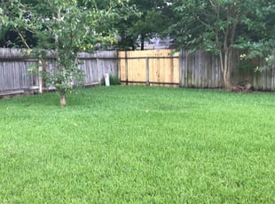 Mckeesport Pa Lawn Care Service Lawn Mowing From 19 Rated Best 2020