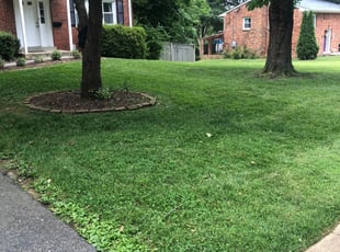 1 Mechanicsburg Pa Lawn Care Service Lawn Mowing From 19 Best 2020