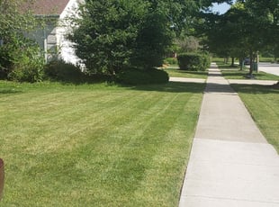 #1 Monroe, NC Lawn Care Service | Lawn Mowing from $19 ...