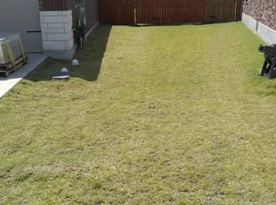 1 Morris Il Lawn Care Service Lawn Mowing From 19 Best 2020