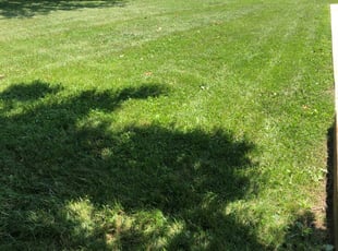 1 Mukwonago Wi Lawn Care Service Lawn Mowing From 19 Best 2020