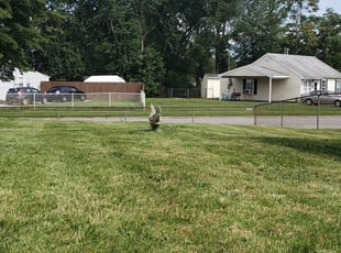 1 New Castle De Lawn Care Service Lawn Mowing From 19 Best 2020