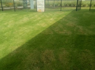 Pinellas Park Fl Lawn Care Service Lawn Mowing From 19 Rated Best 2020