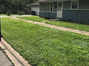 1 Providence Ri Lawn Care Service Lawn Mowing From 19 Best 2020