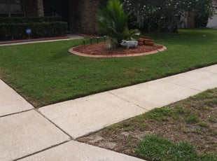 1 Saint Augustine Fl Lawn Care Service Lawn Mowing From 19 Best 2020