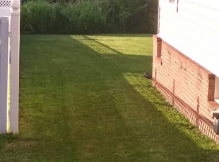 1 Saint Cloud Fl Lawn Care Service Lawn Mowing From 19 Best 2020