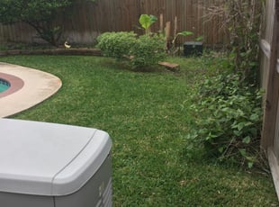 1 Saint Cloud Fl Lawn Care Service Lawn Mowing From 19 Best 2020