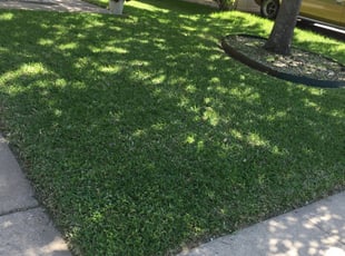 1 Saint Cloud Fl Lawn Care Service Lawn Mowing From 19 Best 2020
