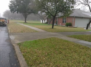 San Antonio Tx Landscaping From 29 1 Landscapers Best Of 2020