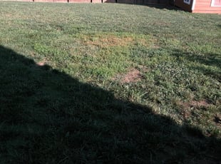 1 Santa Barbara Ca Lawn Care Service Lawn Mowing From 19 Best 2020