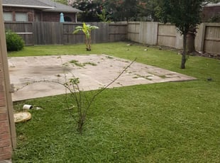 1 Sarasota Fl Lawn Care Service Lawn Mowing From 19 Best 2020