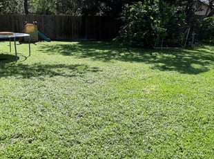 Skiatook Ok Lawn Care Service Lawn Mowing From 19 Rated Best 2020