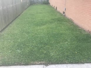 South Park Pa Lawn Care Service Lawn Mowing From 19 Rated Best 2020