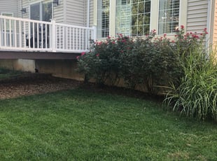 Stafford Va Lawn Care Service Lawn Mowing From 19 Rated Best 2020