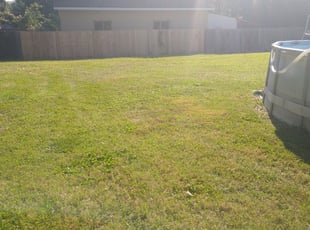 1 Statesville Nc Lawn Care Service Lawn Mowing From 19 Best 2020