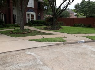 Sugar Land Tx Landscaping From 29 1 Landscapers Best Of 2020