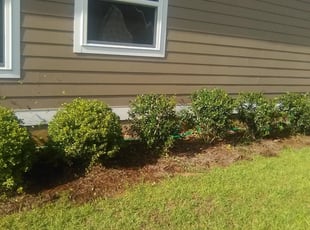 Tallahassee Fl Landscaping From 29 1 Landscapers Best Of 2020