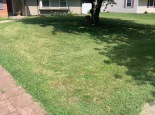 1 Waldorf Md Lawn Care Service Lawn Mowing From 19 Best 2020