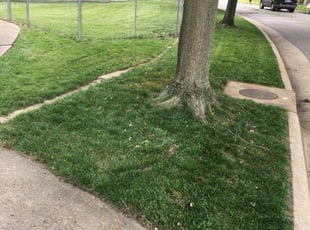 Washington Pa Lawn Care Service Lawn Mowing From 19 Rated Best 2020