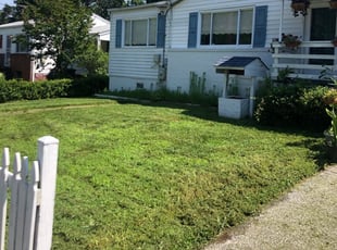 9 Best Lawn Care Services in Zebulon, NC 2020 | Lawn Mowing
