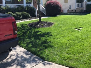 Addison Il Lawn Care Service Lawn Mowing From 19 Rated Best 2020