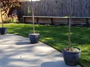 1 Akron Oh Lawn Care Service Lawn Mowing From 19 Best 2020