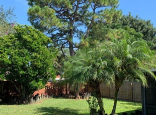 1 Albany Ny Lawn Care Service Lawn Mowing From 19 Best 2020