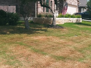 1 Albrightsville Pa Lawn Care Service Lawn Mowing From 19 Best 2020